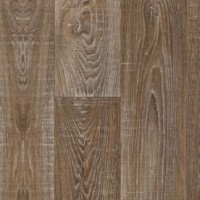 Winter Oak 841