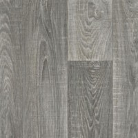 Winter Oak 891